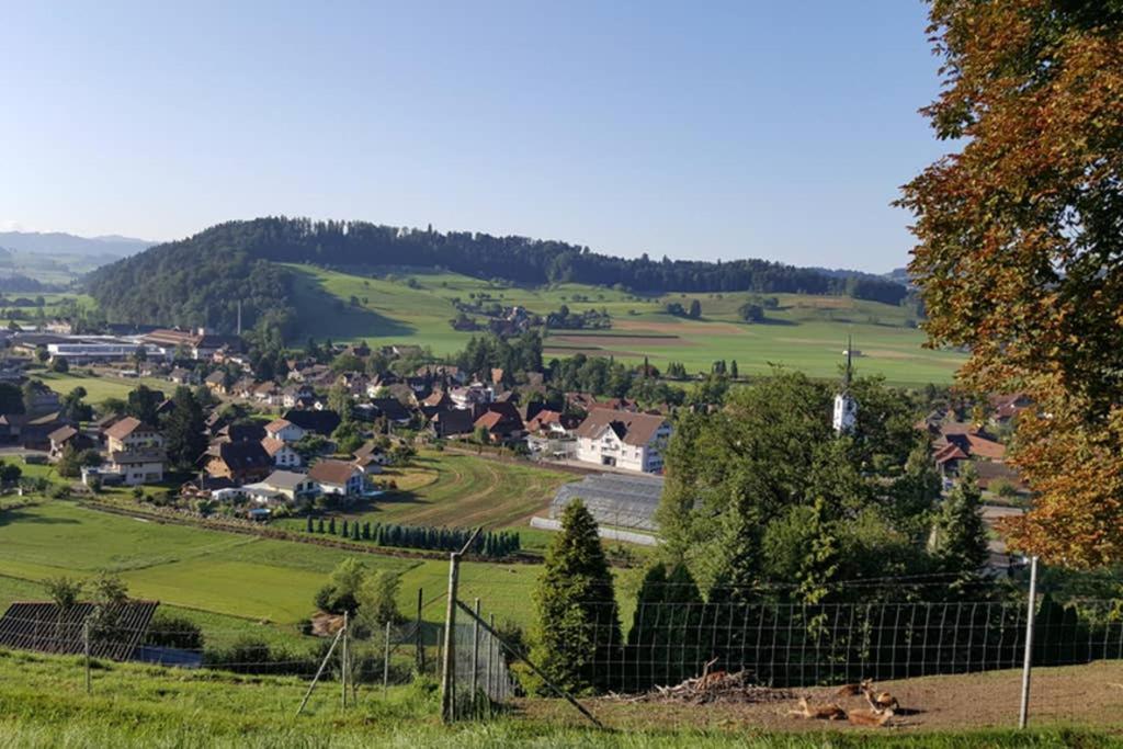 Apartament Brachbuhl Marie Huus Rohrbach Zewnętrze zdjęcie